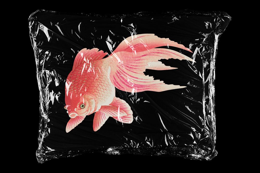 Pink goldfish in plastic bag, animal creative concept art