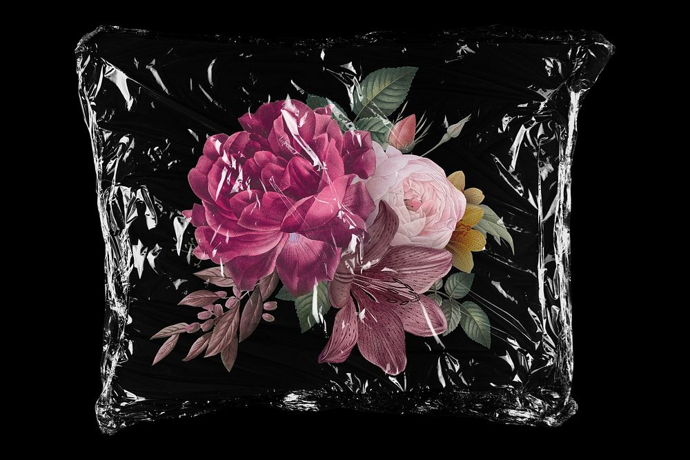 Pink roses flower in plastic bag, Spring creative concept art