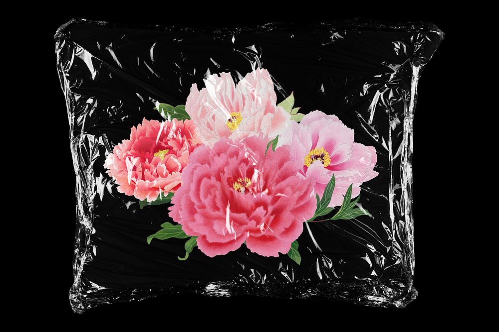 Pink peony flowers in plastic bag, Spring creative concept art