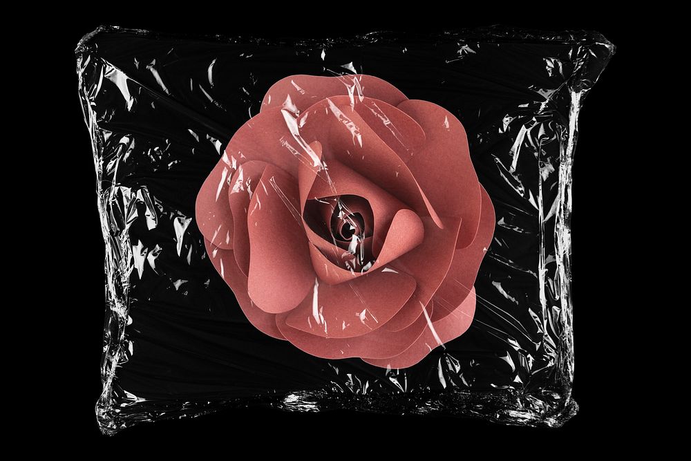 Red paper rose flower in plastic bag, Spring creative concept art