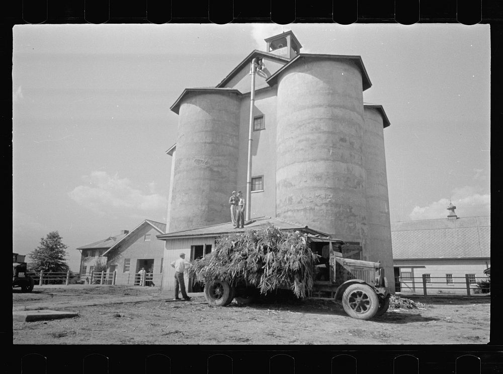 A silo feeding, Prince George's County, Maryland. Sourced from the Library of Congress.