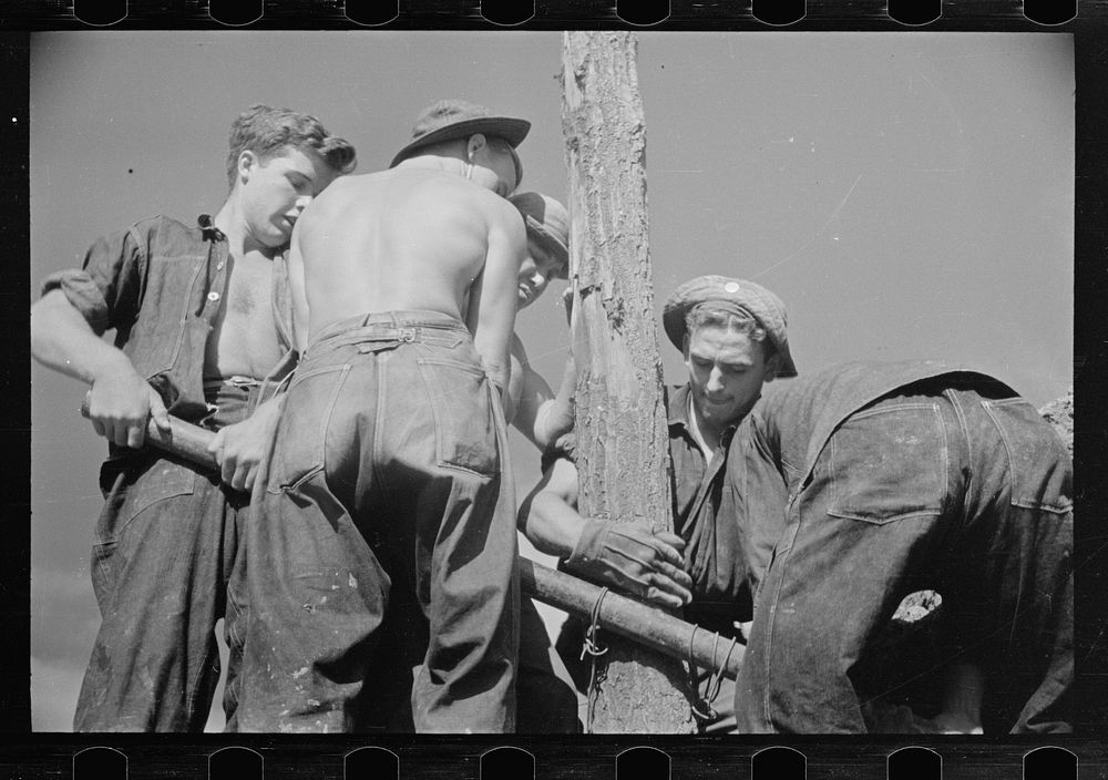 CCC (Civilian Conservation Corps) boys at work, Beltsville, Maryland. Sourced from the Library of Congress.