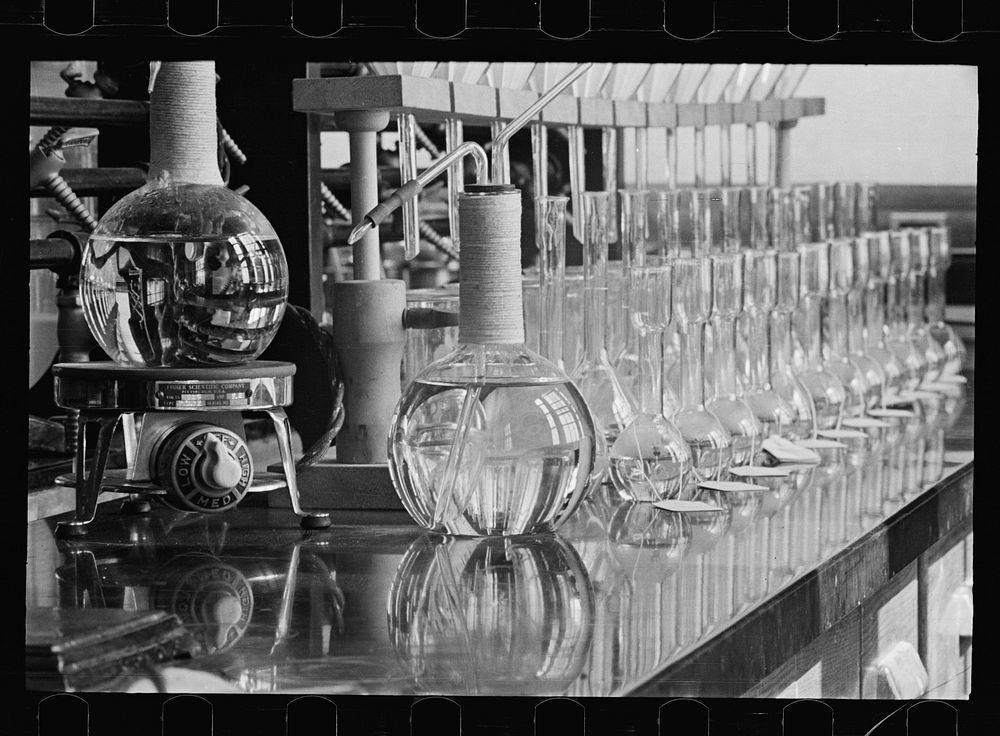 [Untitled photo, possibly related to: Laboratory, Department of Agriculture Experimental Farm, Beltsville, Maryland].…