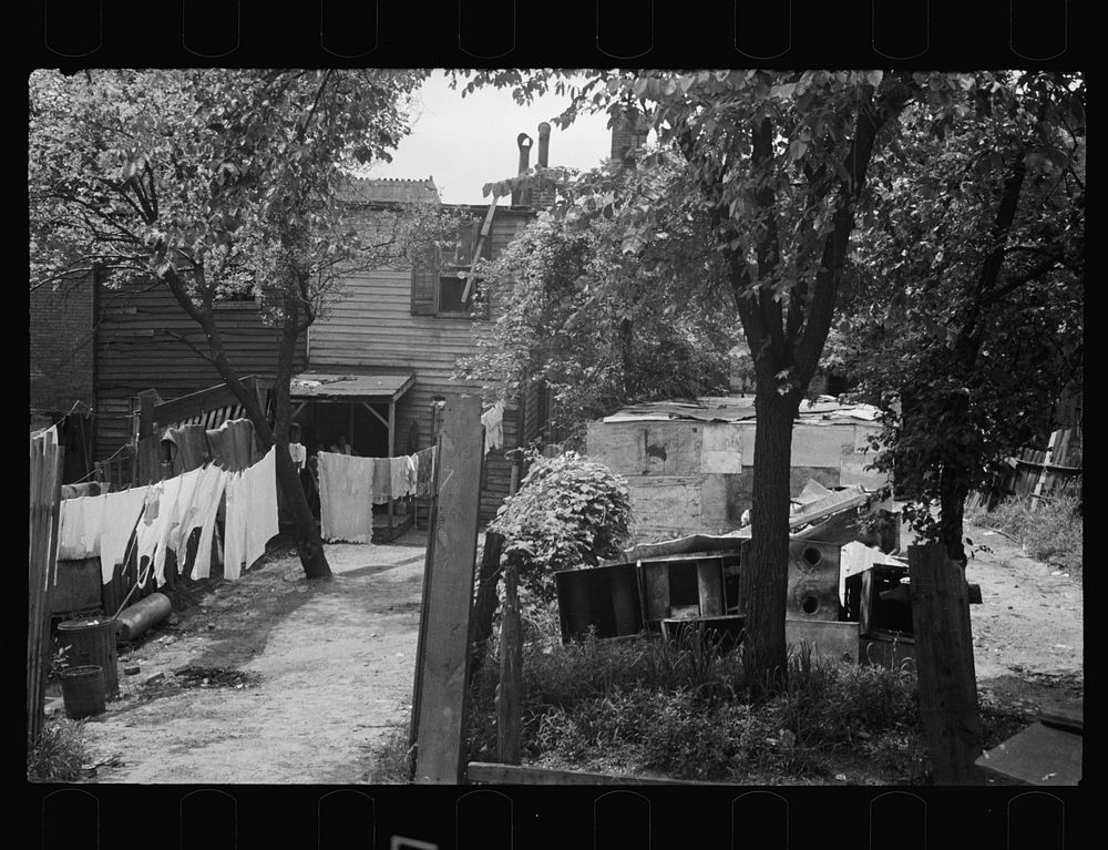 [Untitled photo, possibly related to: Backyard near Capitol, Washington, D.C. African American children have just discovered…