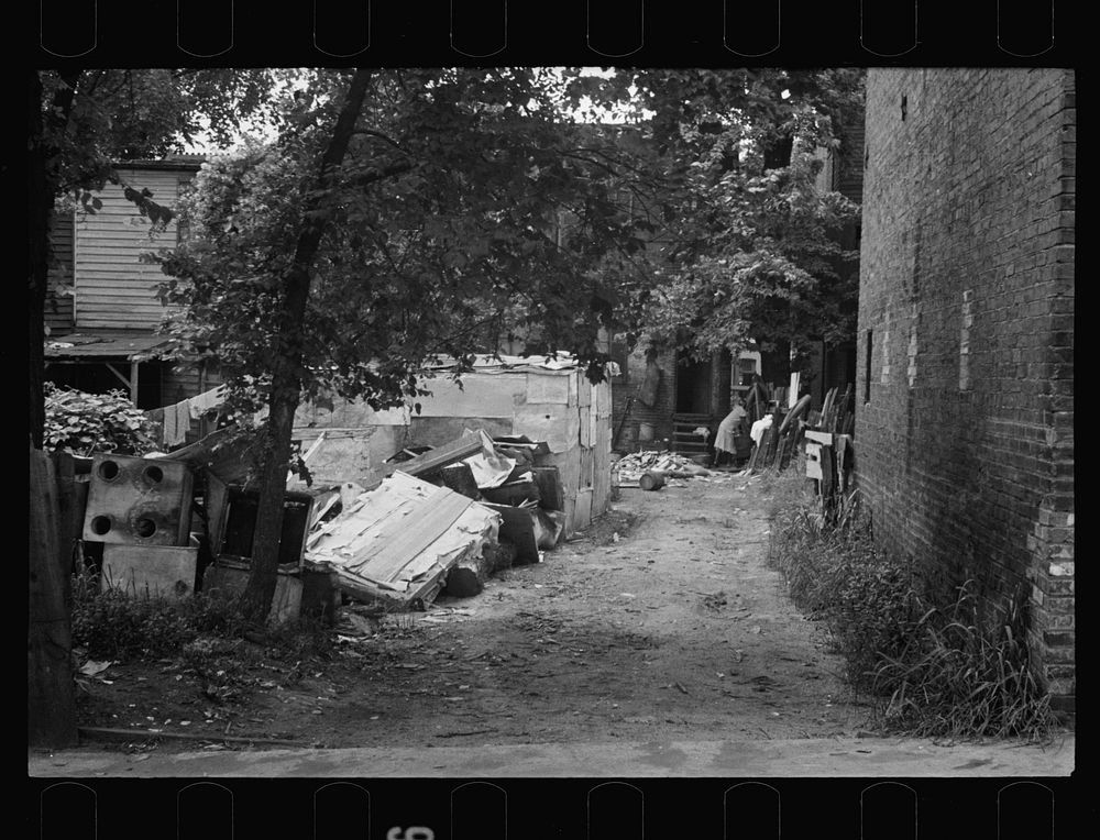 [Untitled photo, possibly related to: Backyard near Capitol, Washington, D.C. children have just discovered the cameraman…
