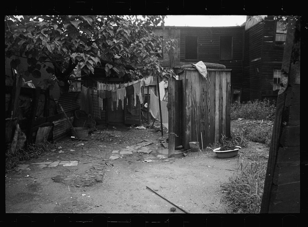 [Untitled photo, possibly related to: Backyard privy, Washington, D.C., near Government Printing Office. Puddle of water in…