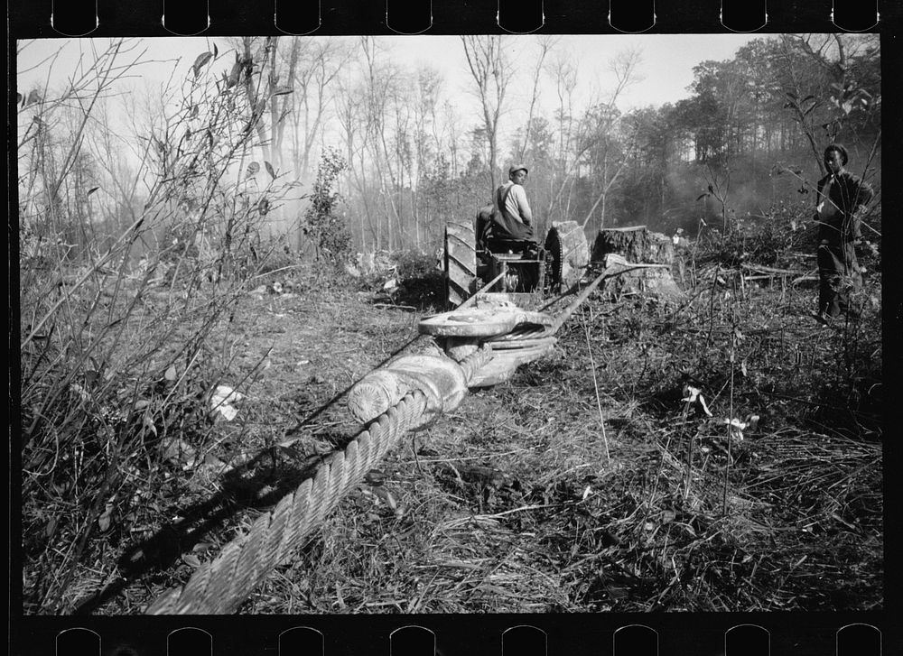 [Untitled photo, possibly related to: Transients building bridge, Prince George's County, Maryland]. Sourced from the…