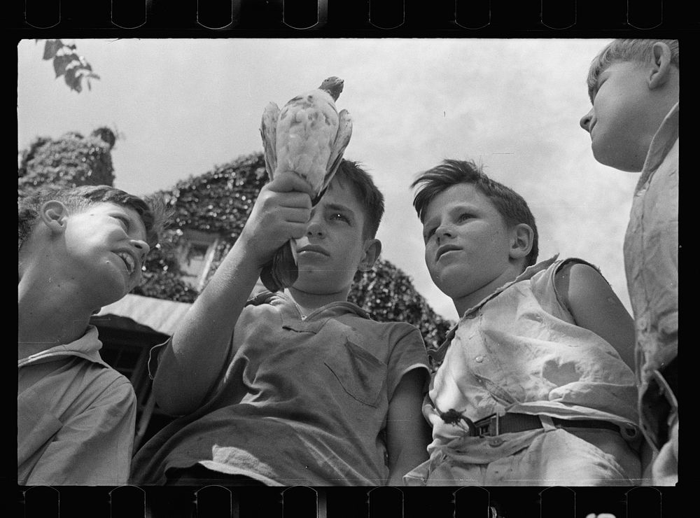 Healthy white children, Washington, D.C.. Sourced from the Library of Congress.