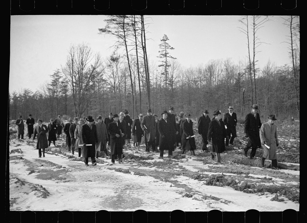 [Untitled photo, possibly related to: Winter at Berwyn project, Berwyn, Maryland]. Sourced from the Library of Congress.