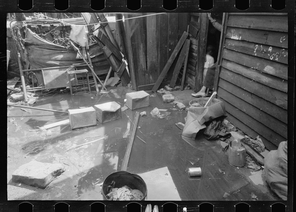 [Untitled photo, possibly related to:  backyard, Washington, D.C. Backyard near Stratford Hotel and within short distance…