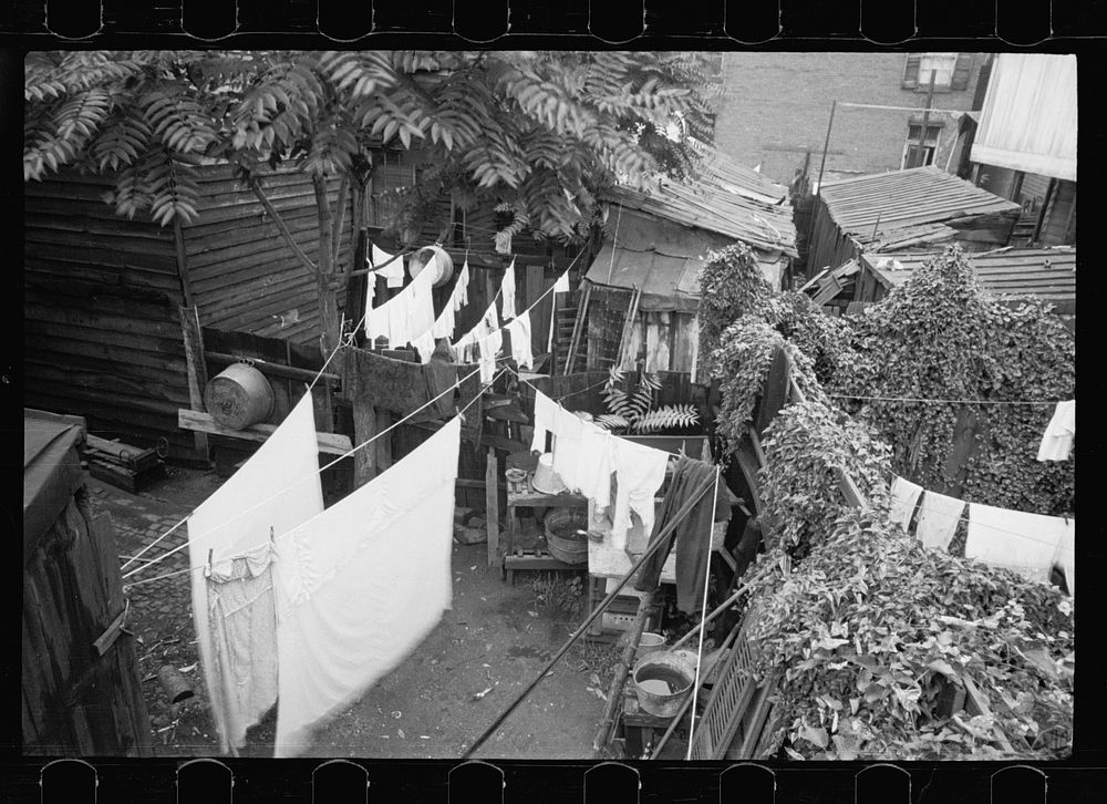 [Untitled photo, possibly related to: Typical back alley in one of the many Washington slums, Washington, D.C.  This house…