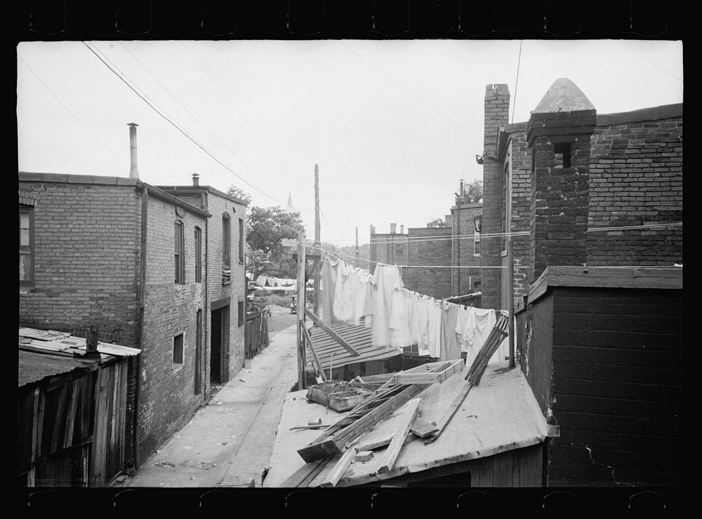 [Untitled photo, possibly related to: Alleyway inhabited by black and white near the Capitol, Washington, D.C.]. Sourced…