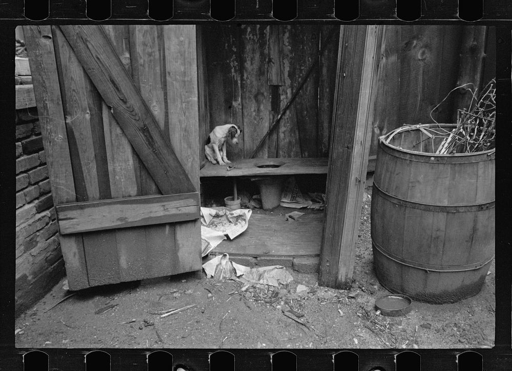 Typical slum privy. The only available water supply is usually nearby, Washington, D.C.. Sourced from the Library of…