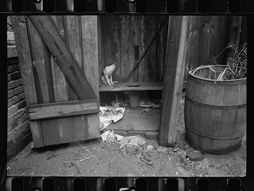 [Untitled photo, possibly related to: Typical slum privy. The only available water supply is usually nearby, Washington…