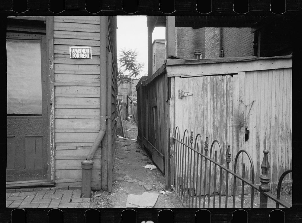 Slum alleyway, Washington, D.C. Houses in background have outside toilets and water supply. Sourced from the Library of…