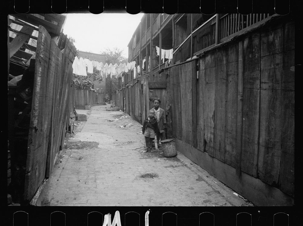 Alley inhabited by es, Washington, D.C. Section near the House office building. Sourced from the Library of Congress.