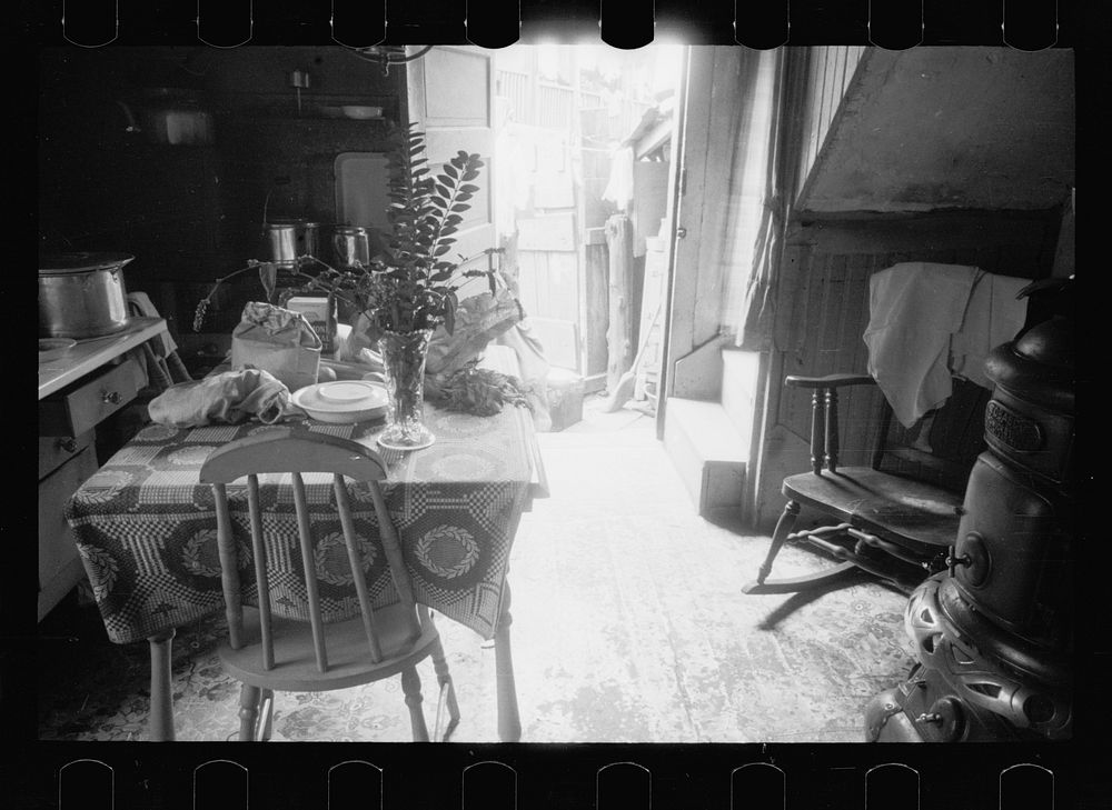 Hovel home of two  families, Washington, D.C. Near ice chest is the privy, although unseen in this picture. A recent relief…