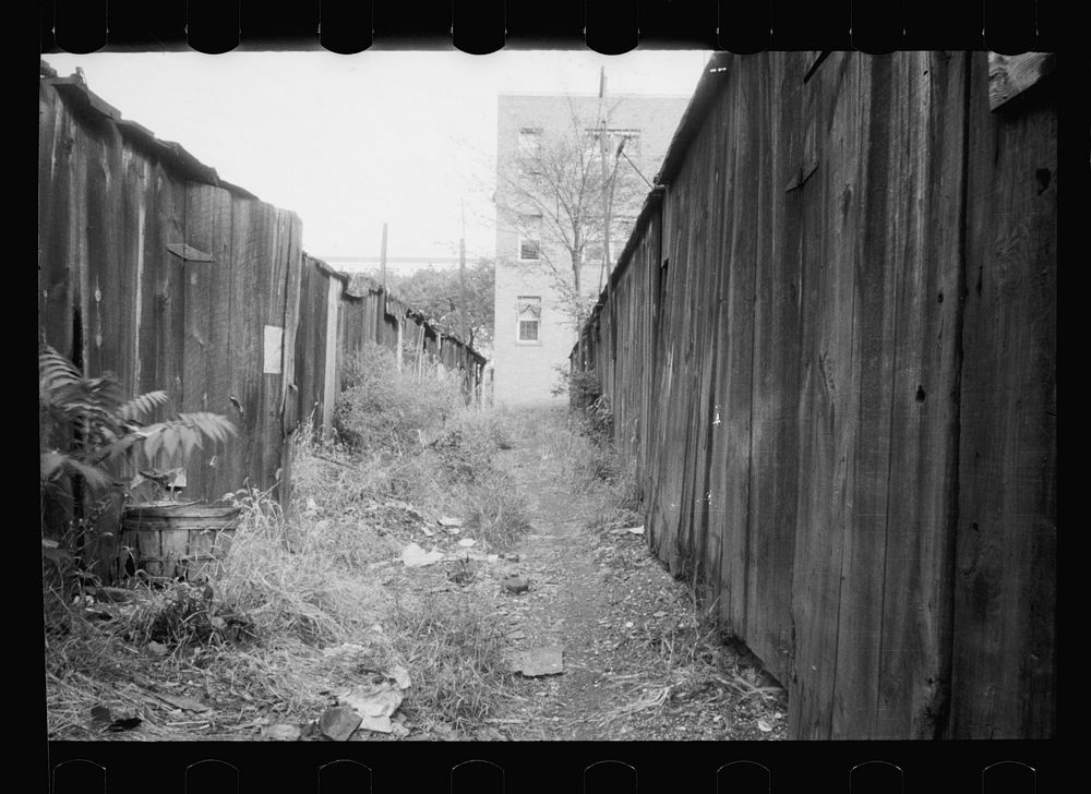 Alleyway privies and wood sheds, Washington, D.C.. Sourced from the Library of Congress.