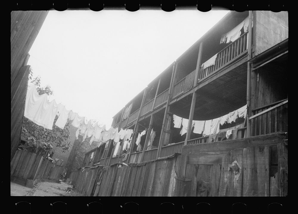 [Untitled photo, possibly related to: Alley inhabited by es, Washington, D.C. Section near the House office building].…