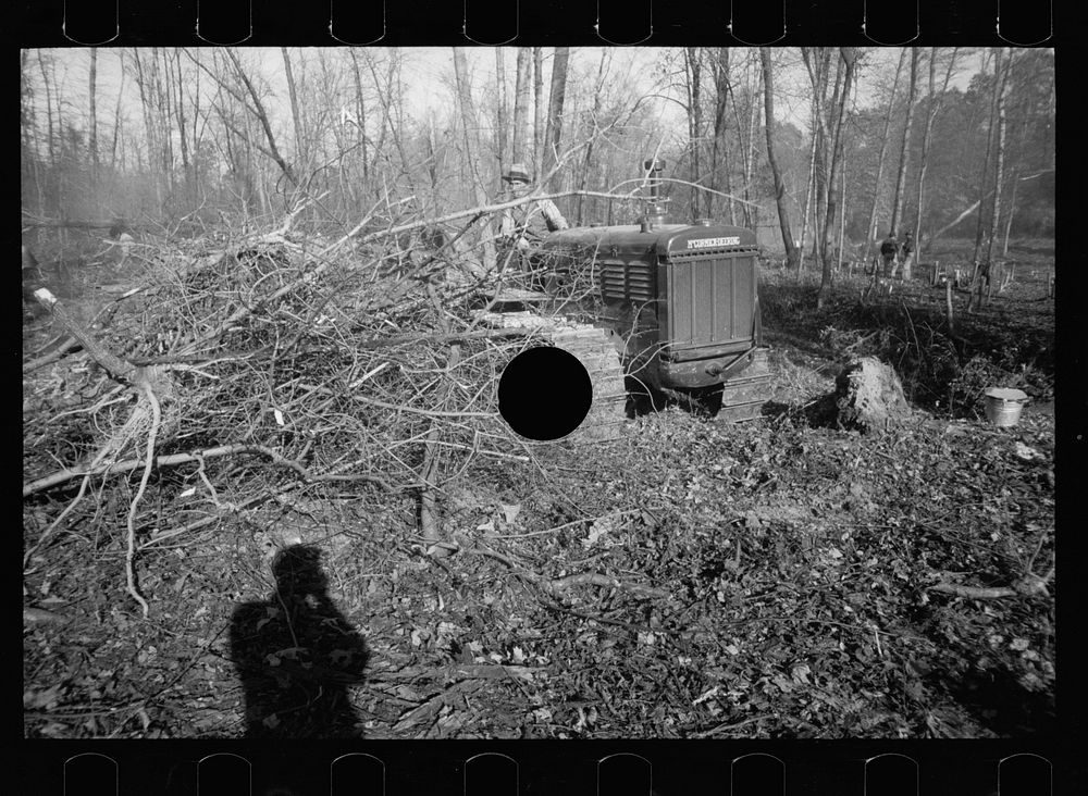 [Untitled photo, possibly related to: Land clearing. Prince George's County, Maryland]. Sourced from the Library of Congress.