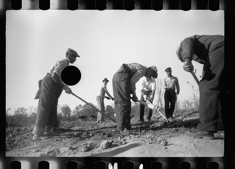 [Untitled photo, possibly related to: Transients clearing land. Prince George's County, Maryland]. Sourced from the Library…
