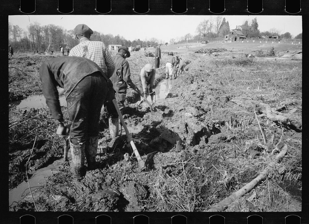 [Untitled photo, possibly related to: Transient worker clearing land, Prince George's County, Maryland]. Sourced from the…