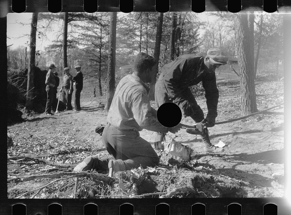 [Untitled photo, possibly related to: Transient worker clearing land, Prince George's County, Maryland]. Sourced from the…