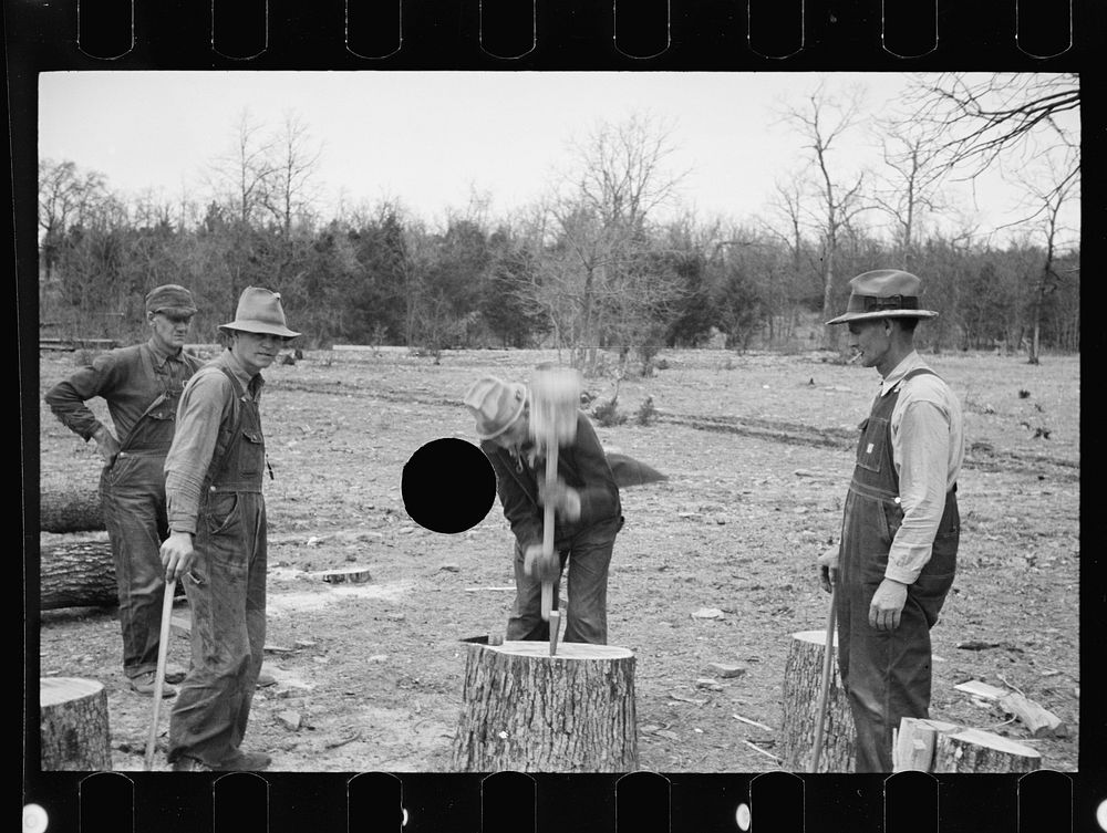 [Untitled photo, possibly related to: Splitting shingles, Wilson Cedar Forest, near Lebanon, Tennessee]. Sourced from the…