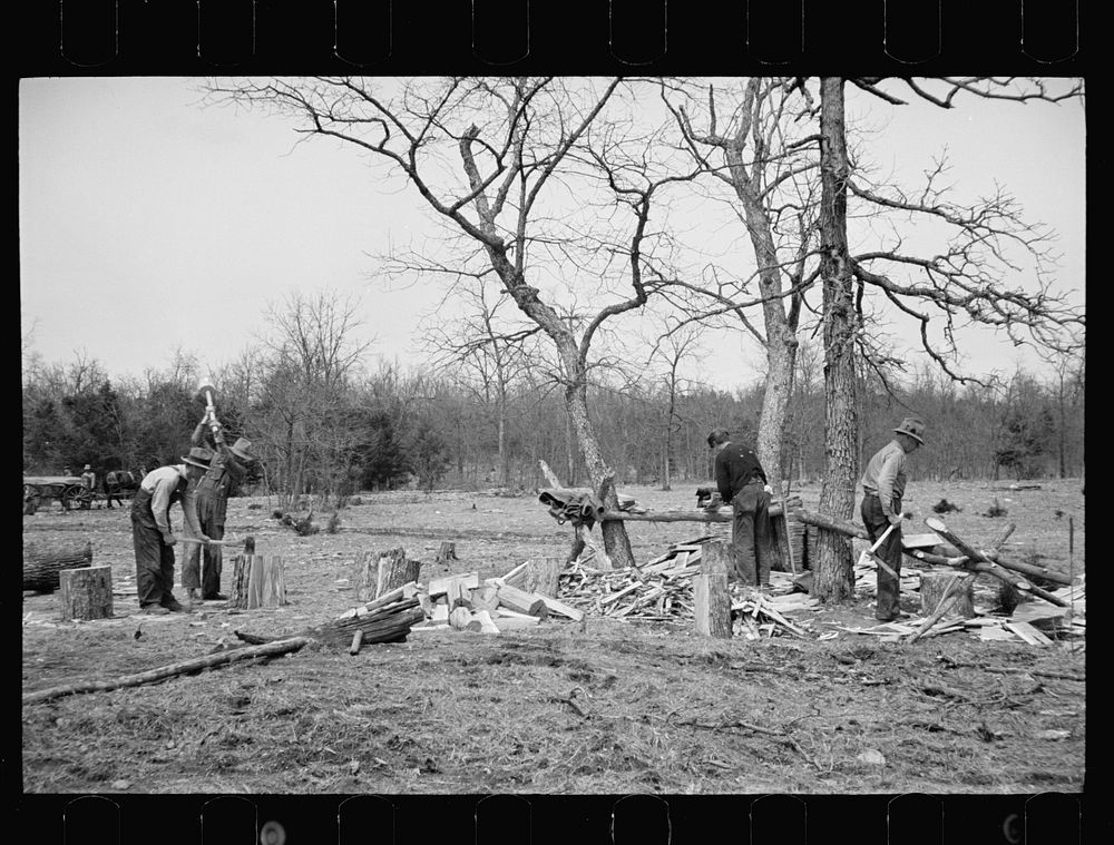 Splitting shingles, Wilson Cedar Forest Project, near Lebanon, Tennessee. Sourced from the Library of Congress.