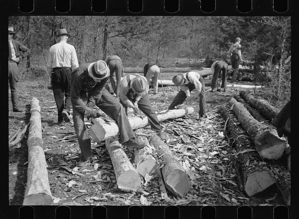 [Untitled photo, possibly related to: Stripping logs to be used in log shelters at Wilson Cedar Forest, near Lebanon…