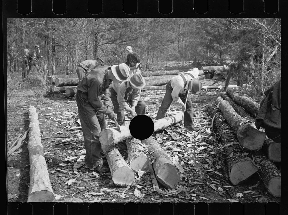 [Untitled photo, possibly related to: Stripping logs to be used in log shelters at Wilson Cedar Forest, near Lebanon…