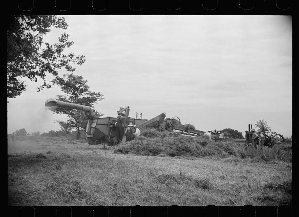 [Untitled photo, possibly related to: Clover farmer on seed threshing machine, St. Charles Parish, Louisiana]. Sourced from…