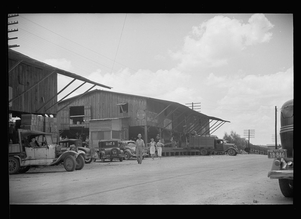 Box factory which serves nearby truck farm area, Terry, Mississippi. Sourced from the Library of Congress.
