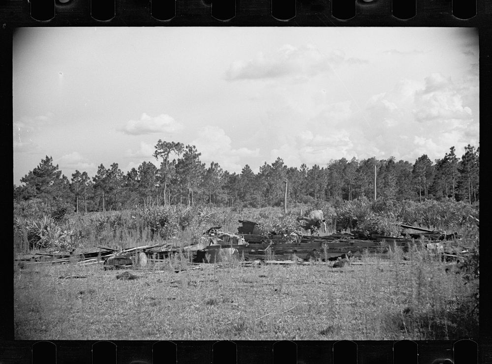 [Abandoned land and poor pasture at Florida Withlacoochee River Agricultural Demonstration near Brooksville, Florida].…