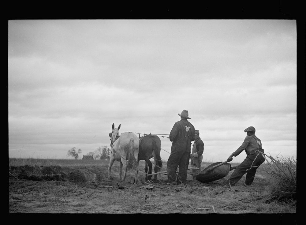 Getting fields ready for spring planting, North Carolina. Sourced from the Library of Congress.