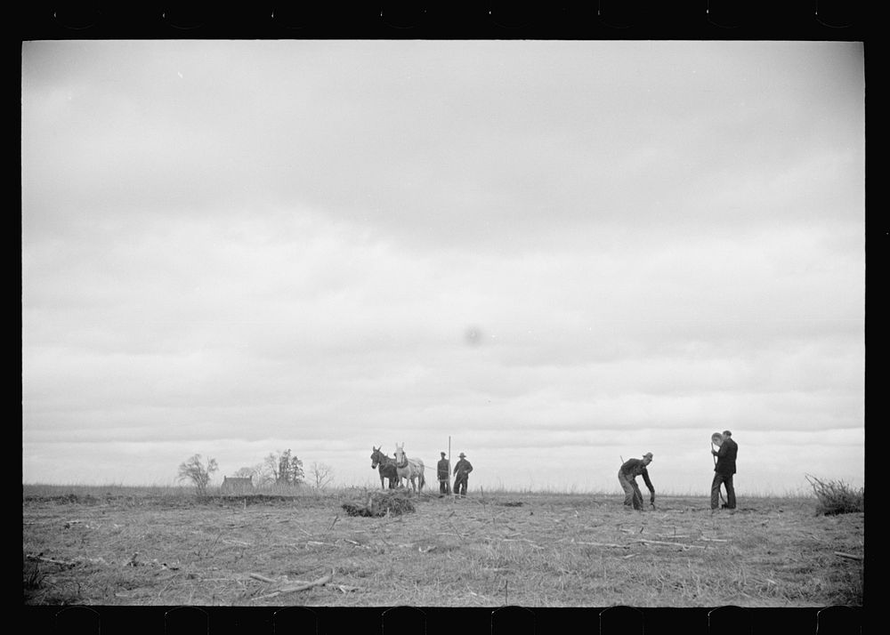 [Untitled photo, possibly related to: Getting fields ready for spring planting, North Carolina]. Sourced from the Library of…