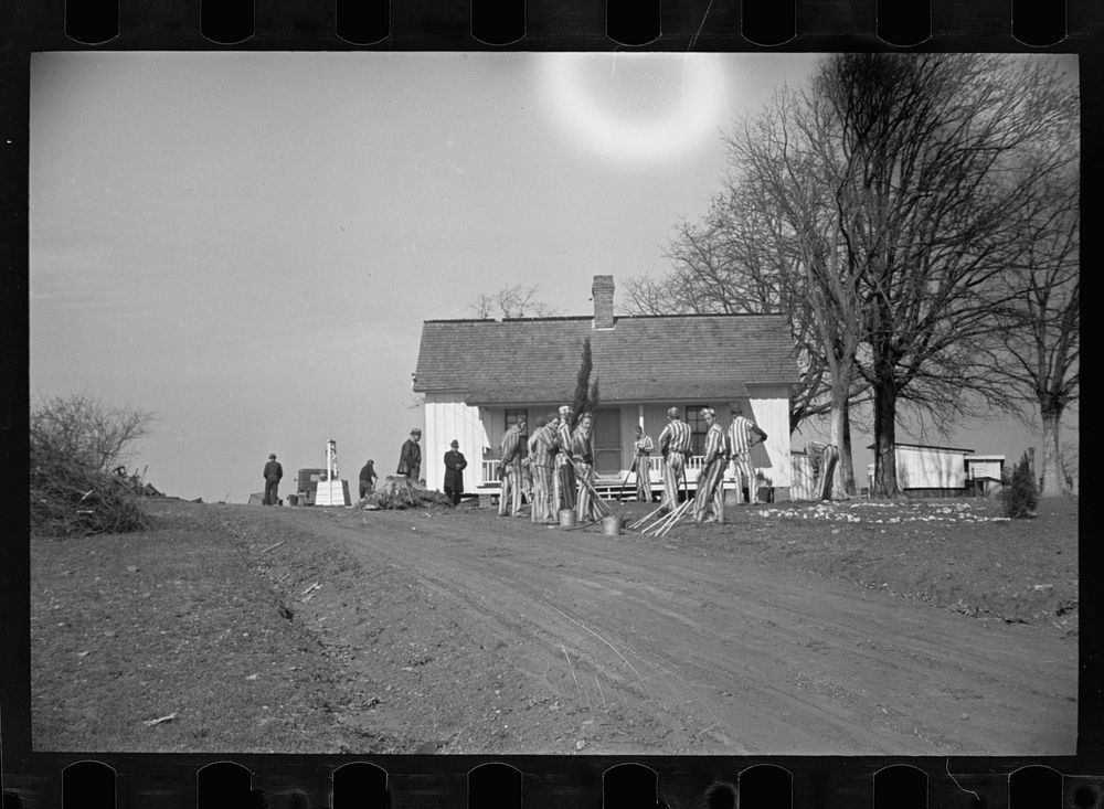 Convicts working on a state road, North Carolina. Sourced from the Library of Congress.