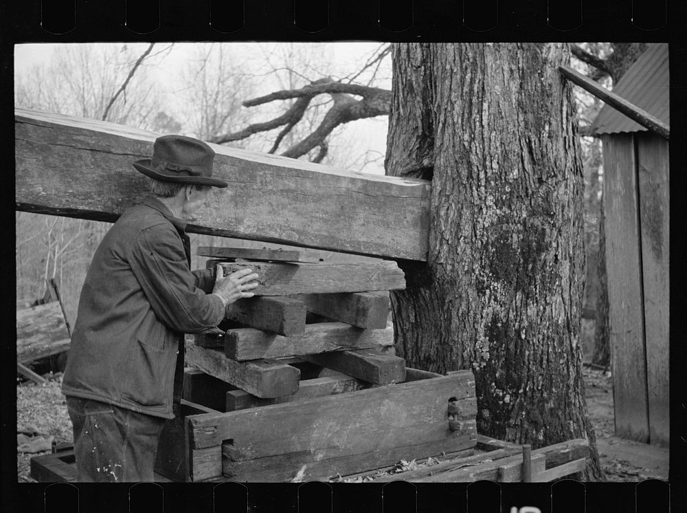 Demonstrating homemade cider press at Crabtree Recreational Demonstration Area near Raleigh, North Carolina. Sourced from…