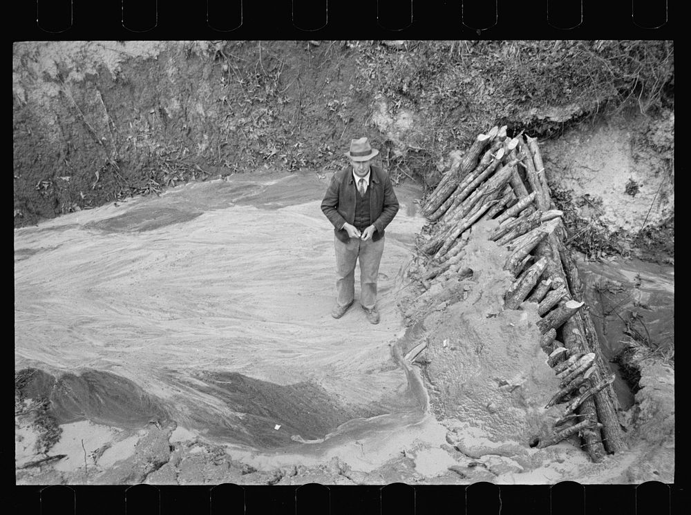 [Untitled photo, possibly related to: Erosion control on Natchez Trace Project near Lexington, Tennessee]. Sourced from the…