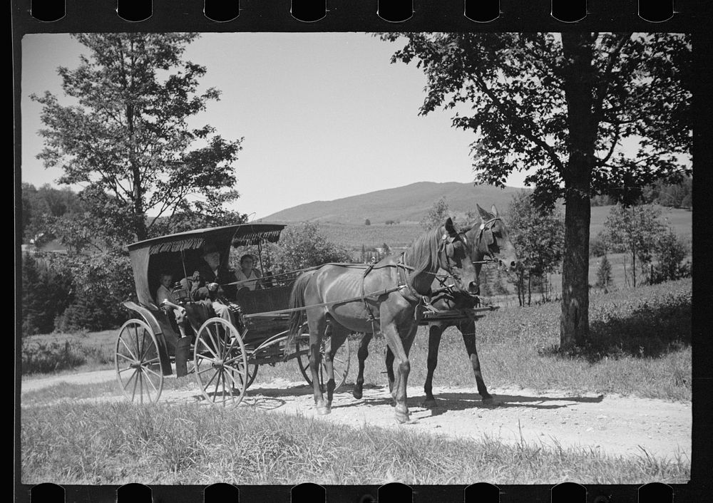 [Untitled photo, possibly related to: Old Vermont carriage and farm family near North Hyde Park, Vermont]. Sourced from the…