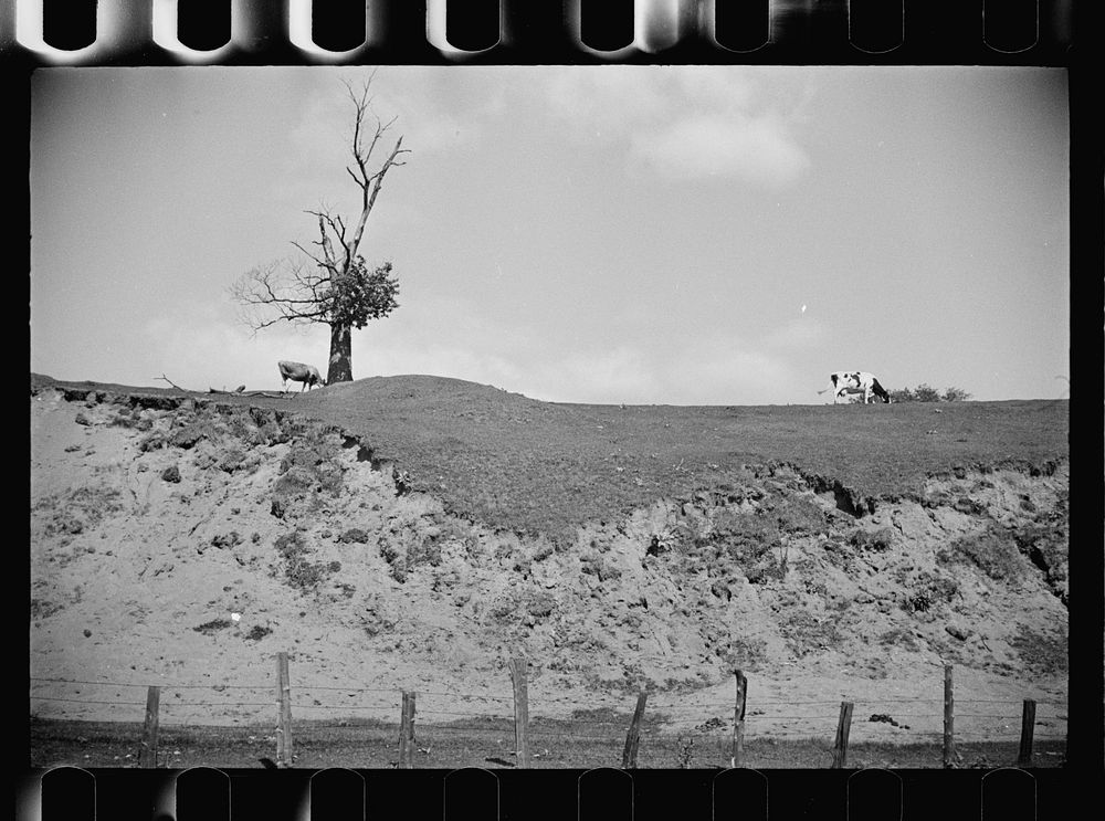 Erosion near Lowell, Vermont. Sourced from the Library of Congress.