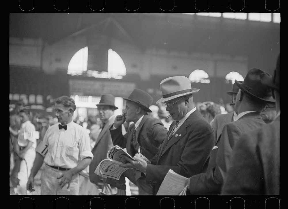 Cattle experts at the stock show, Eastern States Fair, Springfield, Massachusetts. Sourced from the Library of Congress.