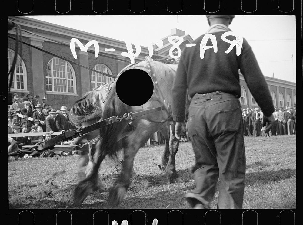 [Untitled photo, possibly related to Free Photo rawpixel