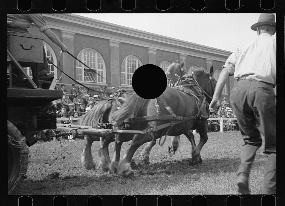 [Untitled photo, possibly related to Free Photo rawpixel