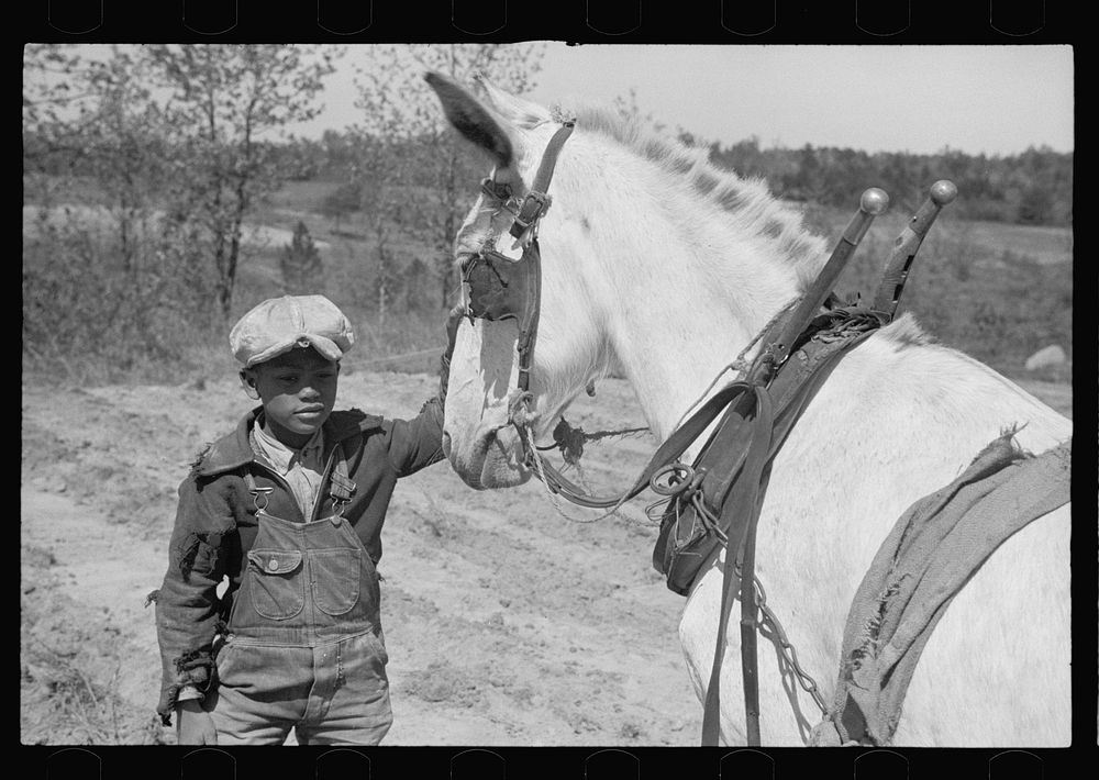 Farm boy, Guilford County, North Carolina. Sourced from the Library of Congress.