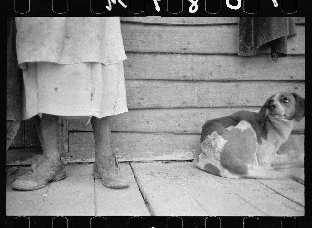 [Untitled photo, possibly related to: Sharecropper and sharecropper's dog. North Carolina]. Sourced from the Library of…