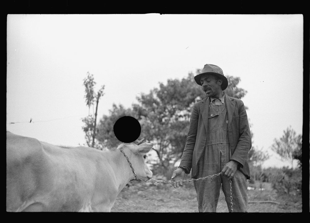 [Untitled photo, possibly related to: Nat Williamson, first   farmer in U.S. to receive  loan under Tenant  Purchase…