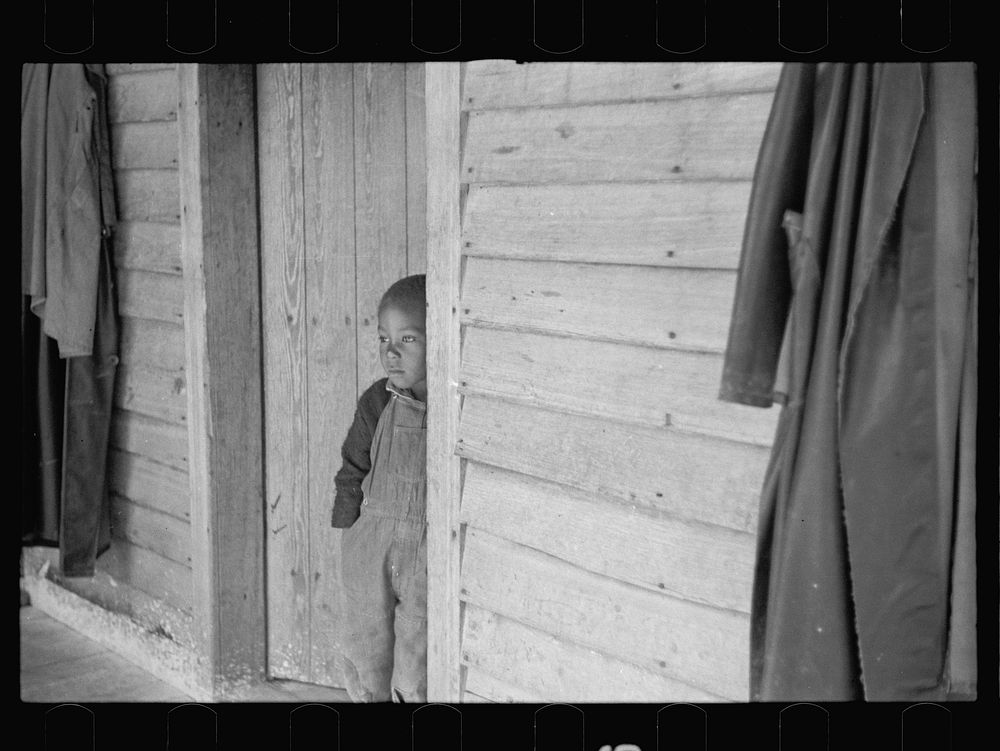 Children of Nat Williamson. Guilford County, North Carolina. Sourced from the Library of Congress.