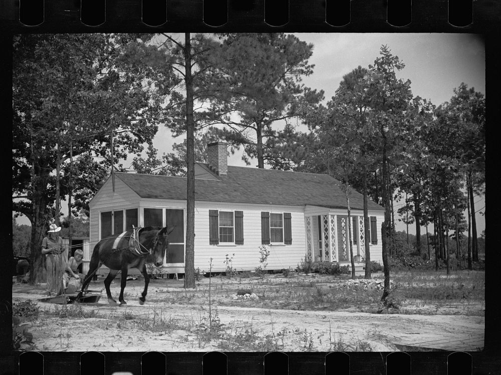 Homestead, Penderlea, North Carolina. Sourced from the Library of Congress.