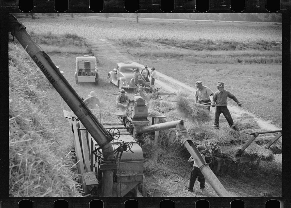 [Untitled photo, possibly related to: Threshing, Tygart Valley, West Virginia]. Sourced from the Library of Congress.